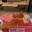 왓커피순천