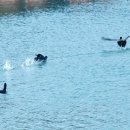 물반고기반 - 종로구 수표로 118 | 물반고기반
