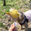 WR(인천광역시 서구)-[로봇랜드로249번길]-하-8 | 인천 청라 데이트 꽃구경하기 좋은 공원 청라생태공원, 한적하게 피크닉 추천