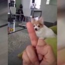 가운데
