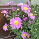 한가람한의원 이미지