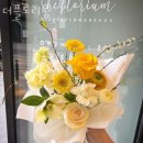 더플로리움 이미지