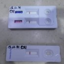 원종동물병원 이미지