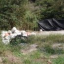 시곡3리 마을회관 이미지