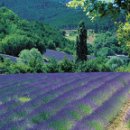 프로방스 이미지