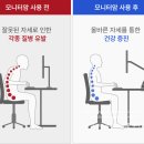887프로젝트 | 경추 디스크 예방 모니터암 루나랩 고중량 듀얼 모니터 거치대