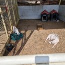 참우농장 이미지