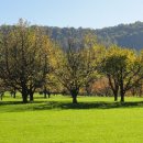 조달청후생관 이미지