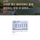 용머리해안 물때 및 입장시간 관람료 등 확인 펌글입니다 이미지