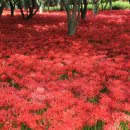 산이주유소 이미지