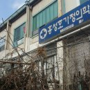 홍성호가정의학과의원 Daum카페