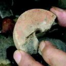 홍산섬유 이미지