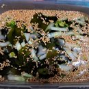 점심..반찬은 계속 똑같음^^ 이미지