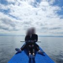 [세부/보홀] 스타인월드(스타인세부) 스노쿨링 / 렛츠고보홀 고래상어 &amp; 반딧불이투어 후기