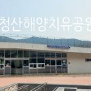 완도파인비치호텔 네이버블로그