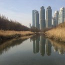 한국엠엔에이센터