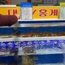 속초관광수산시장(지하) 이미지