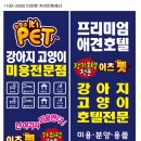 이츠펫 광혜원점 이미지