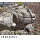 제361차정기산행 충북 단양 소백산 국망봉(1420m)산행 이미지