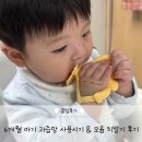 바나나사자 | 6개월 아기 과즙망 사용시기 &amp; 모윰 치발기 후기 (사자+애플피치)