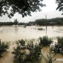 간전면백운관 이미지