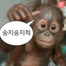 플래닛바이
