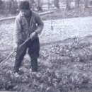 상주우체국 이미지