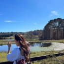 효민2호 이미지