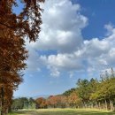 코오롱엘에스아이(주) 코오롱호텔 가든골프장 | [골프] 노캐디 2인플레이 가능한 경주 코오롱골프가든