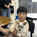 오송우리주유소 네이버블로그