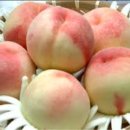 와이즈24시 동물병원 이미지