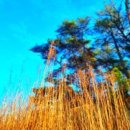 당진힐링펜션 이미지