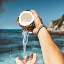 코코넛19 이미지