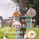 반려동물 양모 초상화 만들기 이미지
