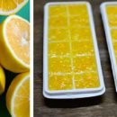 레몬 얼음 만드는 법 🍋 이미지