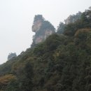 화랑관광 Daum카페