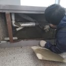 금미장 이미지