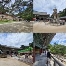 코스모스21호 | 경주 여행 불국사 다보탑 석가탑 주차 볼거리