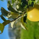 승진농장 이미지