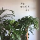보다나은 이미지