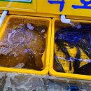 백호상회 이미지