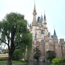 주식회사 차파는정비사 | [도쿄] 도쿄 4일차 - 도쿄 디즈니랜드 맛집 / 알린...통 추천 / 어트랙션 후기 / 기념품 모음...