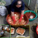 강원정 삼계탕 이미지