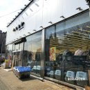 주식회사 온힐펫 당하점 | 애견애묘용품매장_BODA 온힐펫/인천애견용품샵/내돈내산NO협찬/애견간식사료/반려묘장난감/애견유모차...