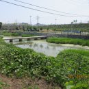 수원-0183 이미지