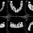 연세윤앤민치과의원 이미지