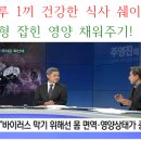 다온점핑다이어트 이미지