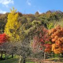 용궐산,채계산,선운사,백양사 영암국화전시장,땅끝말정원,마량항을 다녀와서! 이미지