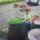 백선바오로의집 이미지