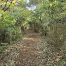 흑산 진리당 이미지